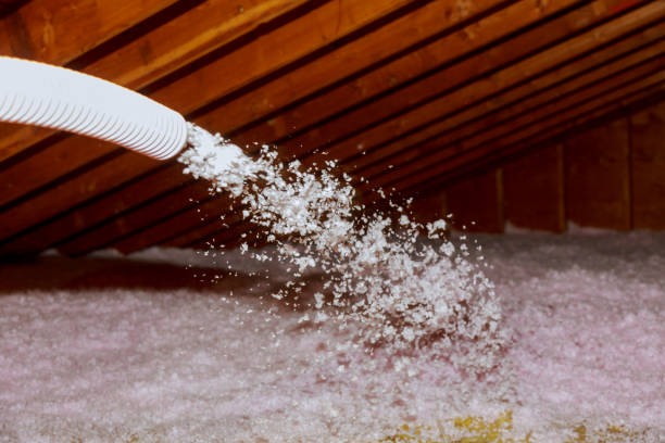 Best Spray Foam Insulation  in Highland, AR